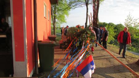 Radovci